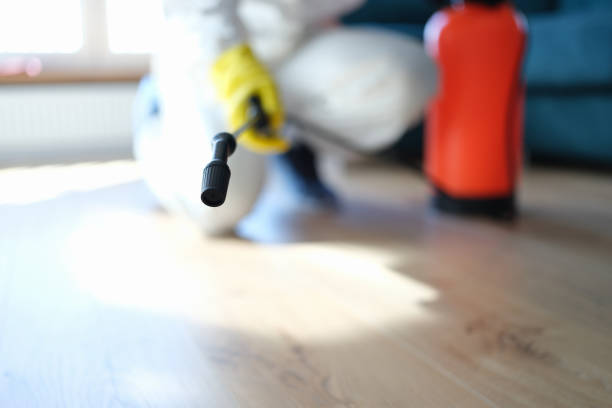 Best Residential Mold Inspection & Testing  in Ocean Ridge, FL